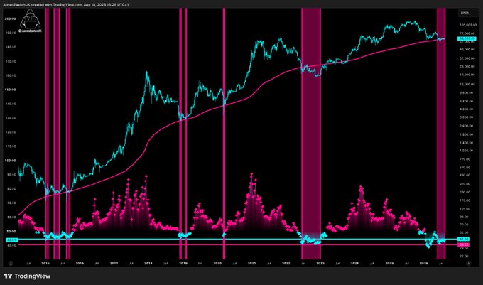 A TradingView chart of Bitcoin (JamesBaldarzzBTC) displayed in USD from August 2016 to 2025, showing the long-term uptrend with vertical pink bands marking potential drawdown periods. The chart visually supports the post's sentiment by illustrating how Bitcoin has historically experienced significant pullbacks (the pink zones) but ultimately delivered massive gains, rewarding those who held through fear rather than missed the overall multi-hundred-percent rally.