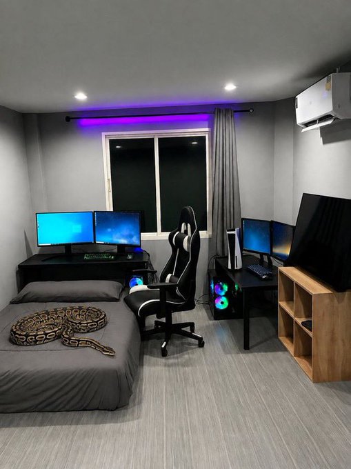 A gaming and bedroom setup with dual monitors on a black desk, RGB lighting, gaming chair, and a bed with a large snake resting on it.