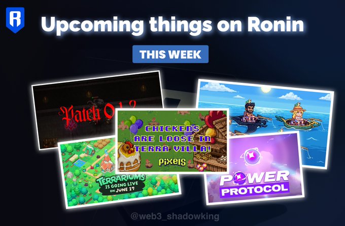 The image features a poster with four different pictures of video game scenes displayed against a dark blue background. The poster includes text that reads "Upcoming things on Ronin This Week" and "Aquarium Quest Alpha Playtest 1 is LIVE." It also mentions that there are "focus on what is in the image and how it relates to the post," which suggests that the poster might be related to a gaming event or release.