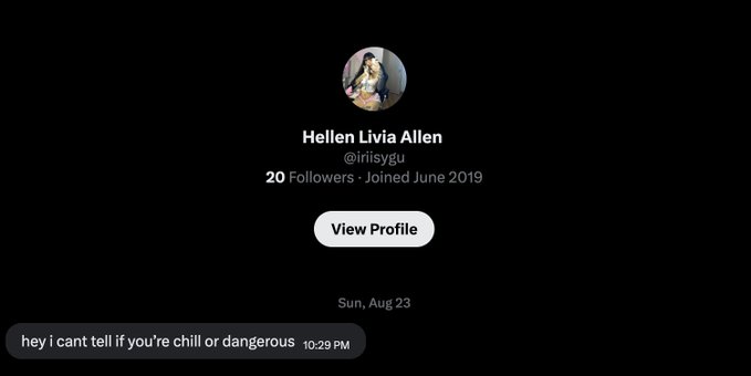 A screenshot of a Twitter DM from @irisygu (Hellen Livia Allen, 20 followers, joined June 2019) on August 23rd reading "hey i cant tell if you're chill or dangerous" at 10:29 PM, illustrating an ambiguous outreach message received in the author's DMs.