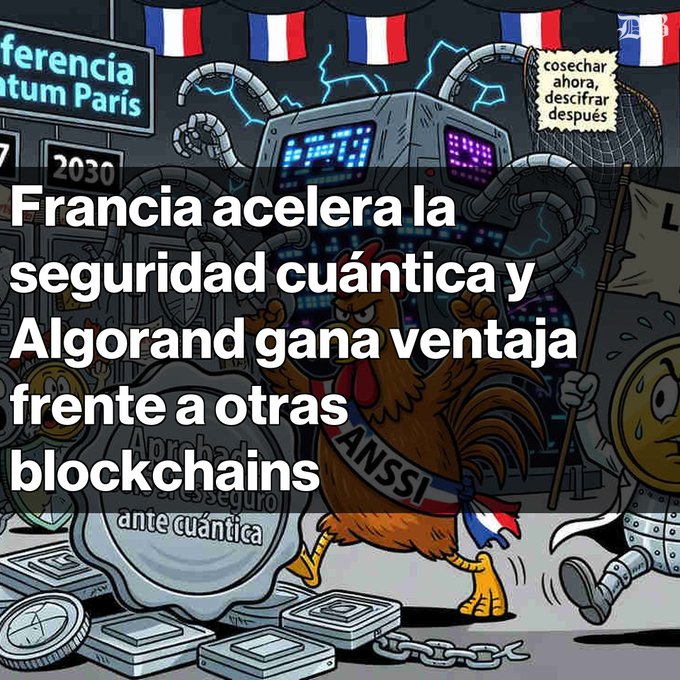 A Spanish-language graphic stating 'Francia acelera la seguridad cuántica y Algorand gana ventaja frente a otras blockchains,' featuring cartoon imagery with a rooster wearing an ANSSI sash.