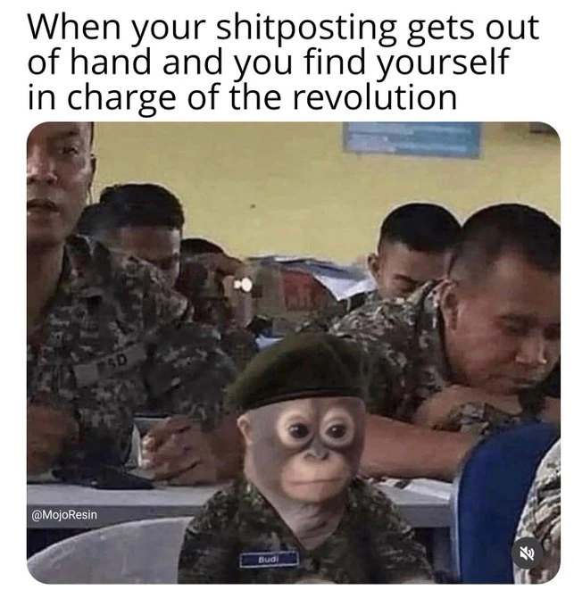 A meme showing military personnel with the caption 'When your shitposting gets out of hand and you find yourself in charge of the revolution,' featuring a monkey face edited onto a soldier in uniform, watermarked @MojoResin.