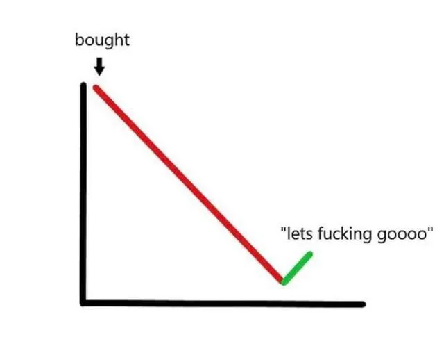 A chart meme showing a red line dropping sharply from a point labeled 'bought' down to a low point, with a green checkmark and the excited text 'lets fucking goooo' celebrating the price drop (likely a stock dip buying opportunity).