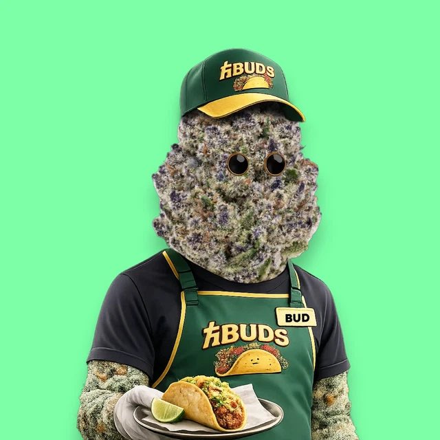 The image features a person wearing an apron with "HBAR" written on it, standing next to a plate of food that appears to be a taco or burrito. The background color is green, which complements the apron and adds to the overall theme of the image. The caption reads "Happy Taco Tuesday $HBAR", indicating that this could be an advertisement for a restaurant or food establishment named "HBAR".