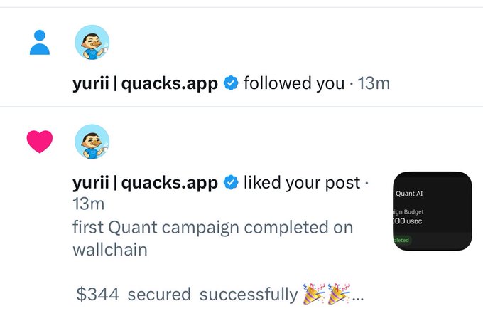 A screenshot of Instagram notifications shows that "yurii | quacks.app" (verified, with a chef duck avatar) followed the user and liked their post about their "first Quant campaign completed on wallchain," which mentions "$344 secured successfully." The image supports the post by showing that a wallchain cofounder has engaged with the user's content, suggesting their work on the campaign is being noticed.
