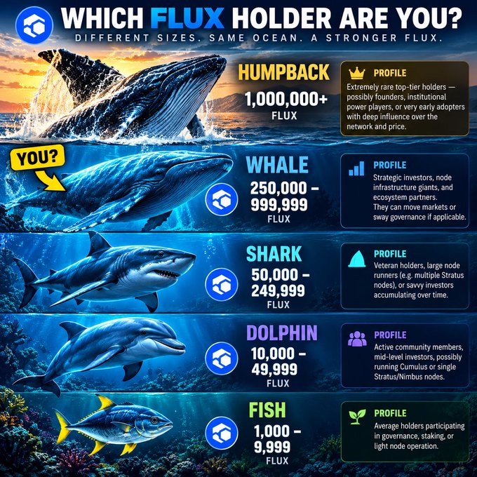 An infographic titled 'WHICH FLUX HOLDER ARE YOU?' categorizing crypto holders by marine animals from Fish (1,000-9,999 FLUX) up to Humpback (1,000,000+ FLUX).