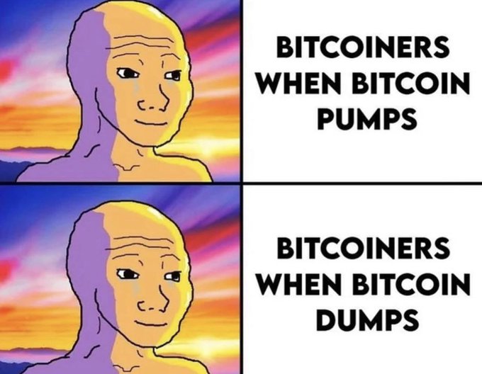 Two-panel 'Wojak' meme showing identical images of a calm, smiling bald figure, labeled 'BITCOINERS WHEN BITCOIN PUMPS' and 'BITCOINERS WHEN BITCOIN DUMPS' to mock unchanged sentiment.