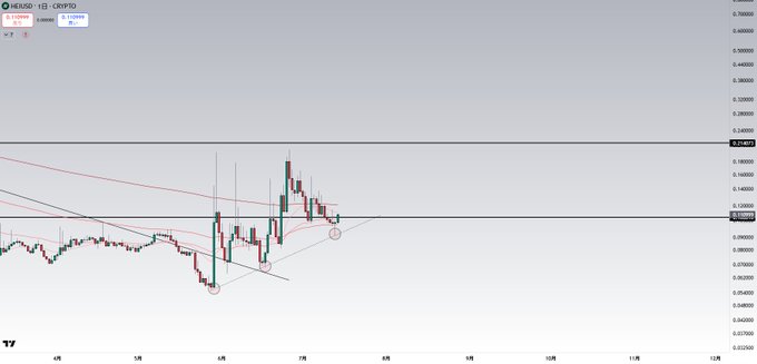 A cryptocurrency price chart for the HEX/DUSD pair shows recent price action with circled areas highlighting key support levels around $0.069-0.074, illustrating the author's point about monitoring the token's price behavior and potential delisting risk from Binance.