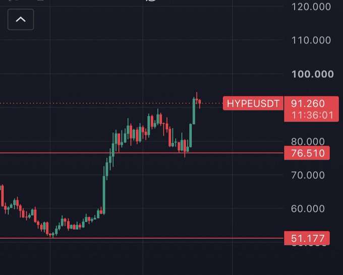 A cryptocurrency trading chart on a dark background displays the HYPEUSDT pair price action, with current price at 91.260 and horizontal levels marked at 100.000, 76.510, and 51.177.