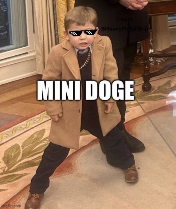 A meme showing a young child dressed in an oversized tan coat, sunglasses, and a gold chain—edited with "deal with it" sunglasses—standing in a power stance with the text "MINI DOGE" overlaid, humorously playing on Elon Musk's 2021 cryptic "Baby Doge" tweet to promote the BabyDoge crypto token.