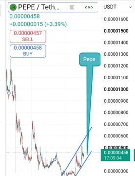 A cryptocurrency trading chart for PEPE/Tether (USDT) showing a massive vertical green candle spike on the right side, with current price 0.00000458 (+3.39%) and an annotation labeling the spike as 'Pepe'.