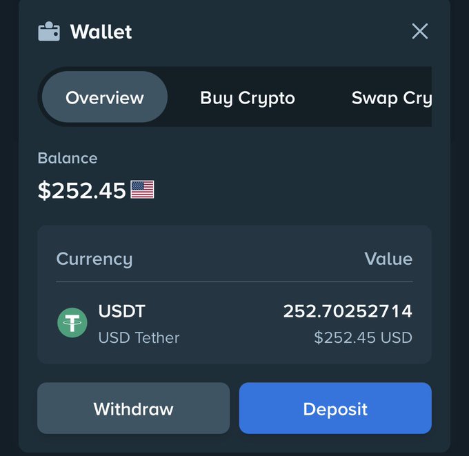 Here's a caption for the image:

The wallet balance shows $252.45 USD in USDT (USD Tether), mirroring the claim of turning $150 into $250.