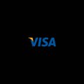 The image features a black background with the word "Visa" written in blue letters, which stands out against the darkness. The text also includes some additional words such as "owning a piece of the future financial infrastructure", "a generational opportunity", "CC", and "SOL". These words seem to be related to Bitcoin or cryptocurrency, possibly indicating that the image is promoting Bitcoin or cryptocurrency-related services.