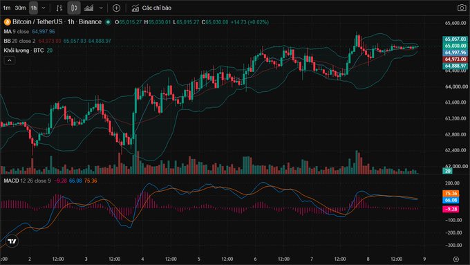 A TradingView candlestick chart for Bitcoin/TetherUS (BTCUSDT) on Binance, showing price around $64,997 with Bollinger Bands and MACD indicators.