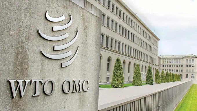The image shows the World Trade Organization building with its prominent "WTO OMC" logo displayed on a stone wall, visually anchoring the accompanying news about the WTO's warning that inconsistent legal regulations are hindering stablecoin development in international trade finance.