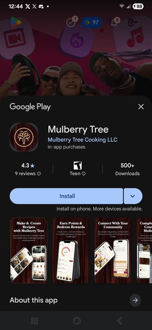 A Google Play Store screenshot showing the installation page for the 'Mulberry Tree' app by Mulberry Tree Cooking LLC, rated 4.3 stars.