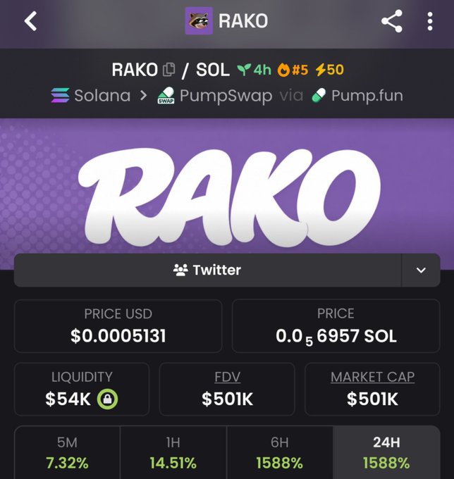 A screenshot of the RAKO memecoin page on a DEX tracker shows a price of $0.0005131 with a $501K market cap on Solana via PumpSwap/Pump.fun, with 24H gains of 1588%, complementing the post's highlight of its 10x move and $501K market cap.