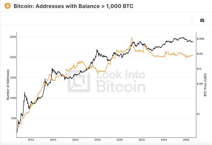 A 'Look Into Bitcoin' chart titled 'Bitcoin: Addresses with Balance > 1,000 BTC' showing the number of addresses (left axis) and BTC Price in USD (right axis) from 2012 to 2026, with intersecting orange and black trend lines.