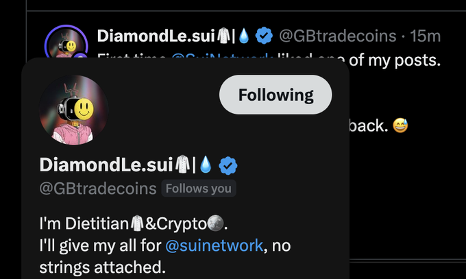 A Twitter/X profile popup for DiamondLe.sui (@GBtradecoins) with bio 'I'm Dietitian & Crypto. I'll give my all for @suinetwork, no strings attached.'