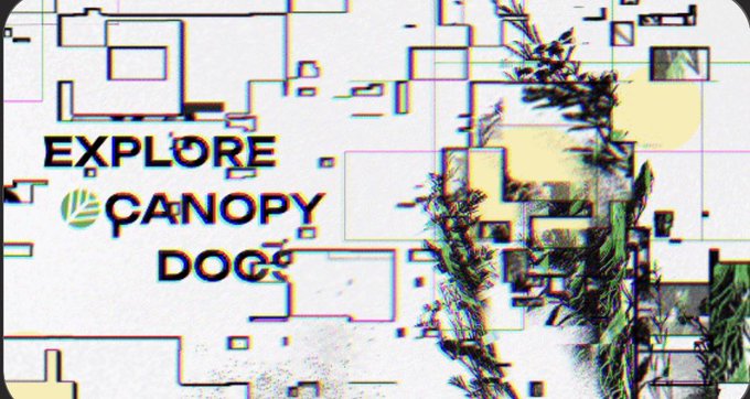 The image features an advertisement for a company called @CNPYNetwork that specializes in creating networks for launching new layer 1 blockchains. The text "Explore canopy dogs" is displayed above the image, which seems to be part of their logo or branding. The background of the image consists of a white square with black and green lines, giving it an artistic and modern appearance.
