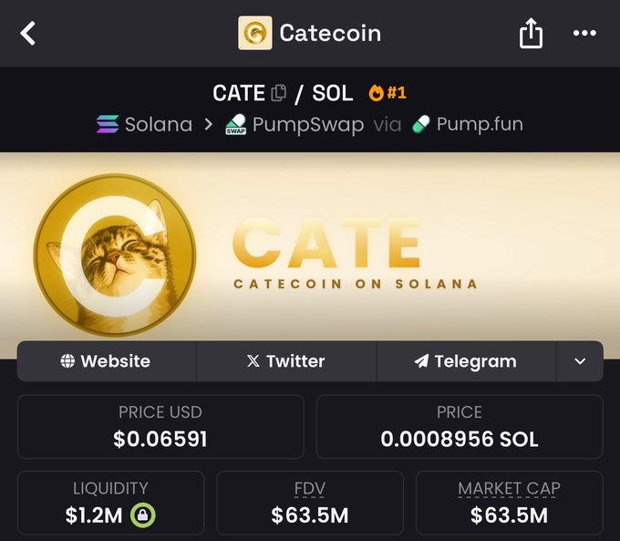 A screenshot of the CATE/SOL token page on PumpSwap showing CATEcoin (CATE) on Solana with a price of $0.06591, a $1.2M locked liquidity, and a $63.5M market cap/FDV. The image illustrates the poster's disbelief about a meme coin featuring a cat reaching such a high market cap on Solana.