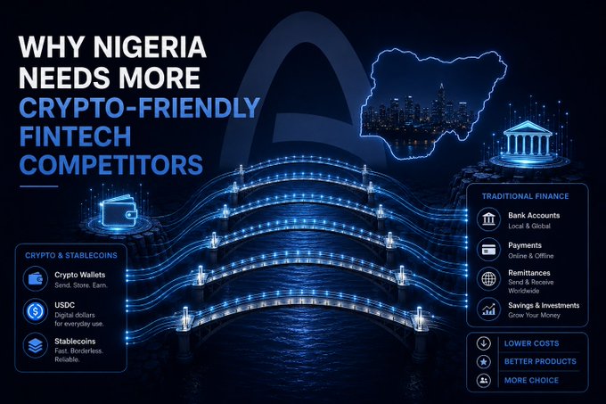 The image features a blue bridge with a city skyline in the background, accompanied by text that reads "Why Nigeria needs more Crypto-Friendly FinTech Competitors" along with some other descriptions of the city's architecture. The focus on the bridge and its surroundings suggests that the image is related to the topic of cryptocurrency and financial technology in Nigeria.