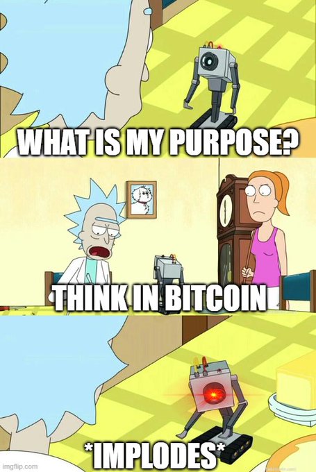 A three-panel Rick and Morty meme showing a robot asking "WHAT IS MY PURPOSE?", being told to "THINK IN BITCOIN", and then *IMPLODES*.