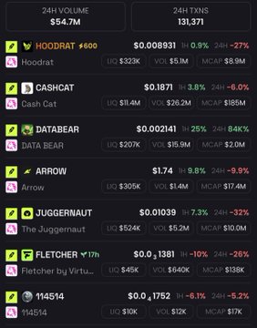 A cryptocurrency market tracker displaying 24H volume of $54.7M and 24H TXNS of 131,371, listing tokens including HOODRAT, CASHCAT, DATABEAR, ARROW, JUGGERNAUT, FLETCHER, and 114514 with their prices and changes.
