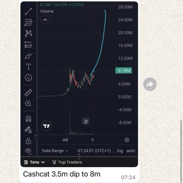 A candlestick chart from TradingView shows Cashtag (CashCat) token surging from 3.5M to 8M in volume at 07:24, with a recent high near 8.18M, illustrating the post's claim about the token's dramatic 42x price increase and the massive overnight gains traders experienced on Robinhood's onchain platform.