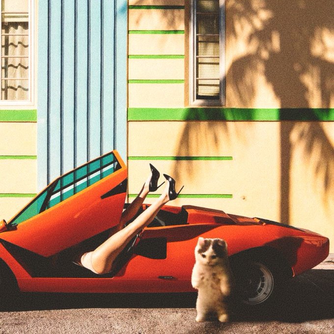 A stylized, retro-aesthetic photograph showing a person's legs wearing high heels sticking out of the door of a red sports car, with a small dog standing next to it.
