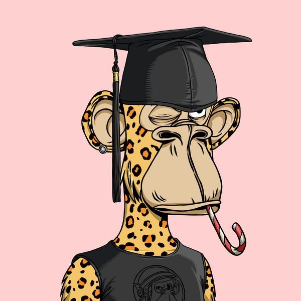 A digital illustration of a Bored Ape-style NFT character wearing a black graduation cap and holding a candy cane in its mouth, dressed in a black BAYC shirt against a pink background.