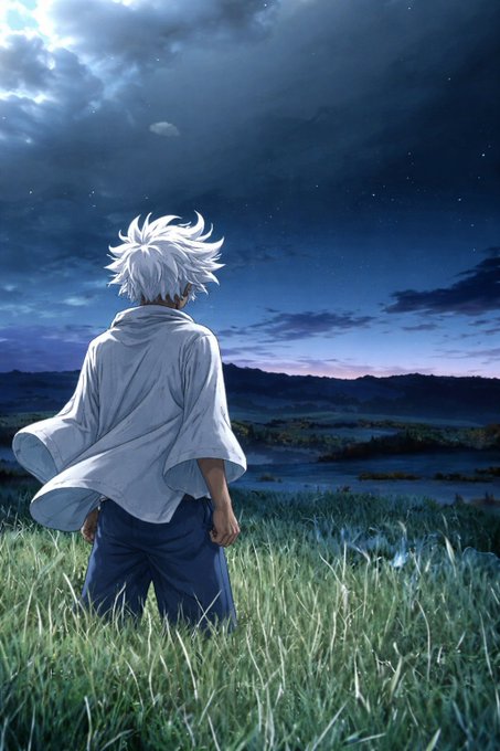 An anime-style illustration shows a white-haired character in a flowing white robe standing in a grassy field, gazing at a twilight landscape under a starry sky.