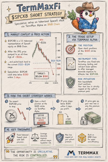 An infographic titled 'TermMaxFi $SPCXB SHORT STRATEGY' detailing a speculative short position setup on tokenized SpaceX stock via TermMax Alpha, with market context, trade setup, and key takeaways.