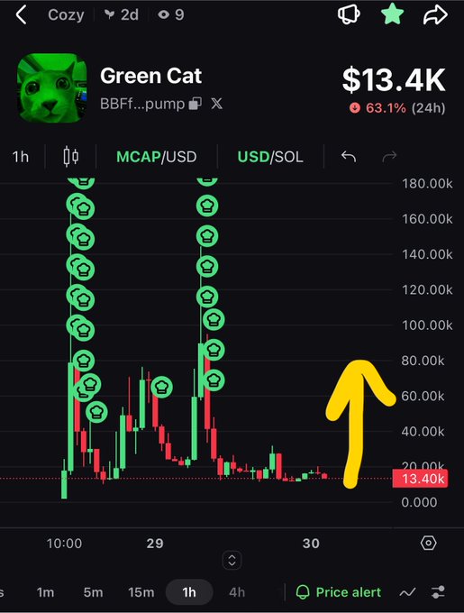 A cryptocurrency price chart for 'Green Cat' (BBFF...pump) showing a market cap of $13.4K, down 63.1% in 24h, with an overlaid yellow arrow indicating the price drop.