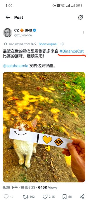 A Twitter post by CZ (@cz_binance) about a #BinanceCat contest, featuring an orange cat holding a sign with Binance logos, receiving 645K views.