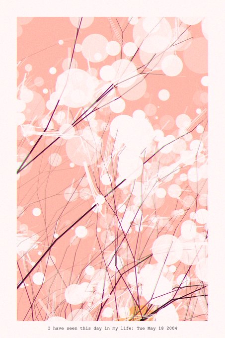 An artistic pink poster with abstract white circles and dark lines, featuring the text 'I have seen this day in my life: Tue May 18 2004'.
