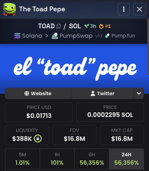 A screenshot showing the "The Toad Pepe" (TOAD/SOL) token trading page on PumpSwap via Solana, with a current price of $0.01713, a market cap of $16.8M, and a massive 56,356% gain over 24 hours, illustrating the explosive growth the user experienced after copying the wallet's trade.