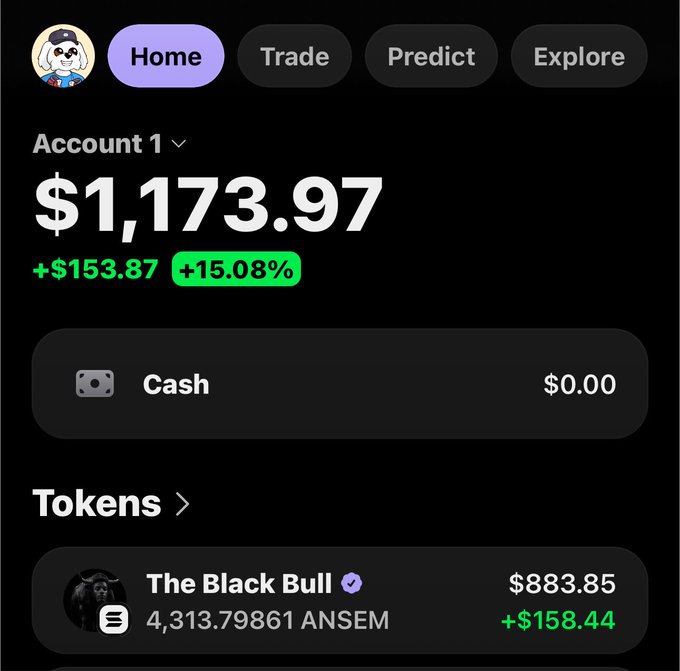 A cryptocurrency portfolio dashboard showing Account 1 valued at $1,173.97, with a gain of +$153.87 (+15.08%), holding 4,313.79861 ANSEM in 'The Black Bull' token worth $883.85.
