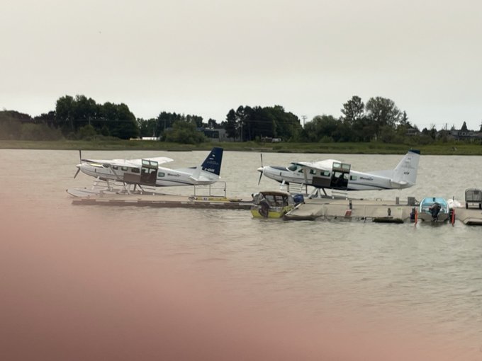Two white seaplanes docked on a body of water at a pier under an overcast sky, with a tree-lined shore in the background.