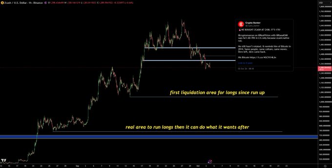 A TradingView chart of XAU/USD (Gold vs U.S. Dollar) on a 1-hour timeframe shows annotated support and liquidation zones, with text highlighting "first liquidation area for longs since run up" and a "real area to run longs," aligning with the bullish market sentiment expressed in the post referencing Raoul Pal.