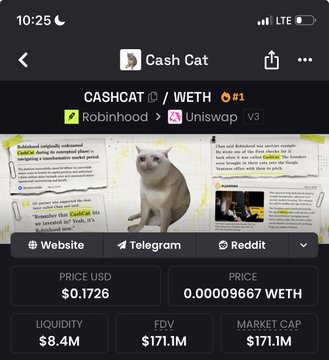 A screenshot from a crypto tracking app displays the "Cash Cat" token (CASHCAT/WETH) on Uniswap V3 via Robinhood, showing a $0.1726 price, $8.4M liquidity, and a $171.1M market cap. The image backs up the post's claim of a $170M market cap by providing the exact data, while the poster jokingly contrasts this with Robinhood's modest $740k valuation, mocking the absurdity of the situation.