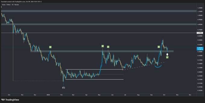 TradingView chart titled 'OsmiumEl created with TradingView.com, Oct 09, 2026 18:51 UTC+2' showing Deel/Deeker price action on a daily timeframe from October 2024 through October 2025, featuring technical annotations including green X symbols, a cup and handle pattern, support/resistance zones, and key price levels around 0.24000-0.26000.