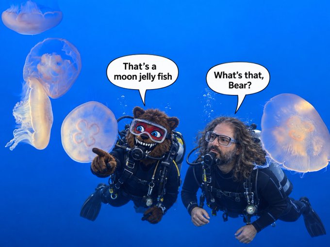 Two scuba divers—one in a bear mask with shark-teeth goggles and one with long hair—encounter translucent moon jellyfish underwater, with speech bubbles reading "That's a moon jelly fish" and "What's that, Bear?"—pairing with the post's reference to "MOON" jellyfish drops and timestamps hinting at hidden XRP Army signals.