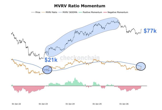 The image is a multi-panel chart titled "MVRV Ratio Momentum" showing Bitcoin's price ranging from around $21k (Jan 2023) to $77k (Jan 2026), along with its MVRV ratio, 365-day moving average, and momentum indicators. The accompanying post argues that $100K for BTC may be conservative, which the chart supports by showing BTC's strong upward trajectory with positive momentum periods despite current MVRV ratios near historical lows, suggesting significant room for further appreciation.
