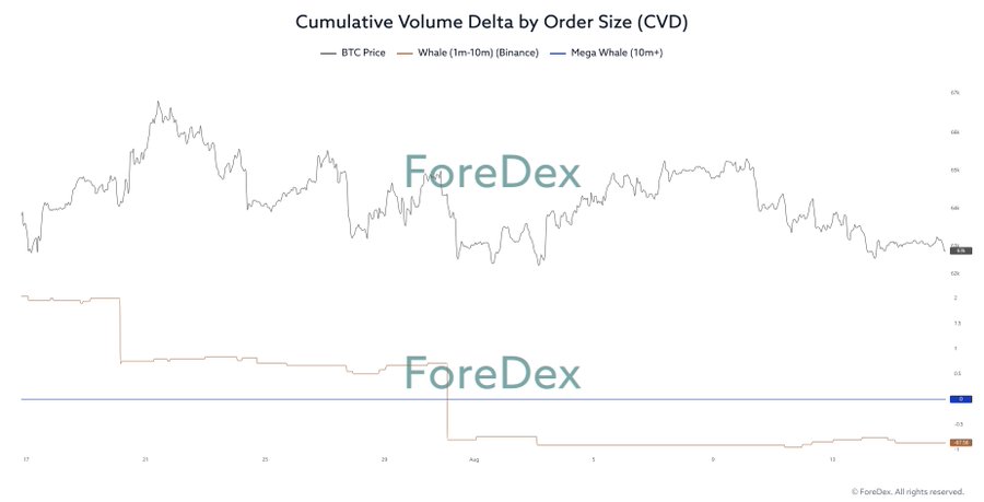 A financial chart titled 'Cumulative Volume Delta by Order Size (CVD)' showing BTC Price, Whale (1m-10m) Binance, and Mega Whale (10m+) data, watermarked with ForeDex.