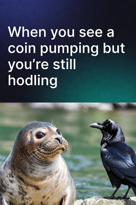 The meme reads, “When you see a coin pumping but you’re still hodling,” showing a seal calmly looking at a raven. It humorously reflects the post’s claim that $RVH surged over 25× from $60K to a $1.5M market cap and that $SEAL benefited from its partnership with Raven Hood.