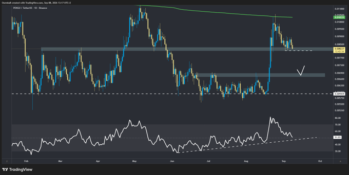 A TradingView candlestick chart for PERKE0/TetherUS on Binance, dated September 30, 2025, showing price action with support/resistance levels, a green trendline, a white checkmark annotation, and an RSI indicator below.