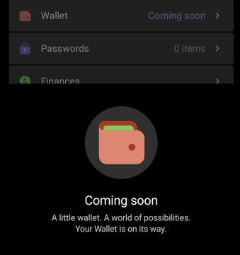 An app interface displays a 'Wallet' section marked 'Coming soon', with sub-categories for 'Wallet', 'Passwords' (0 items), and 'Finances'.