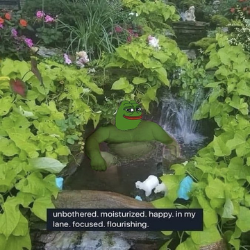 Pepe the Frog meme sitting in a garden pond surrounded by greenery, with a caption reading 'unbothered. moisturized. happy. in my lane. focused. flourishing.'