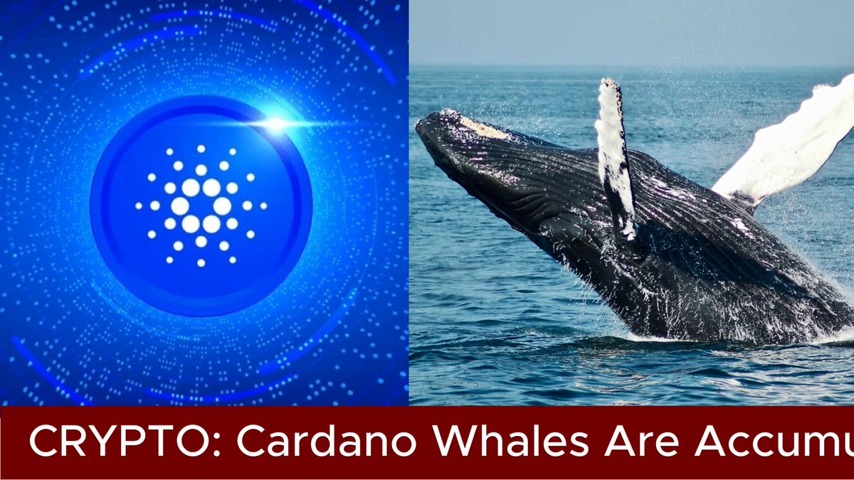 The image shows two photos depicting a whale and a Bitcoin symbol that has "crypto" written above it. The first photo features a whale leaping out of the water, while the second photo showcases a blue and white Bitcoin symbol above the whale. Below these images, there is text that states "Cardano Whales Are Accumulating Again Wallets hold at least 1 million $ADA now control 25.11 billion tokens, their highest level since December 2017, per Santiment." This implies that people who own Bitcoins can potentially invest in Cardano and make a substantial amount of money by buying Bitcoin when its value is low and selling it for a higher price during an upward trend in the cryptocurrency market.